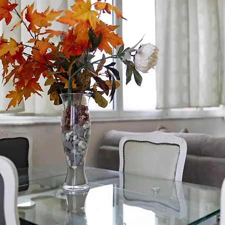 Apartment Roma - Albenga